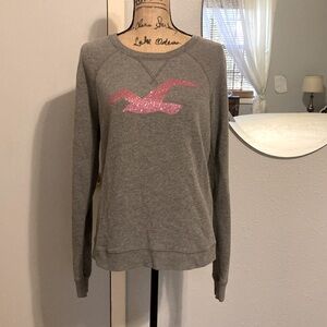 Hollister Sheer Back Sweatshirt